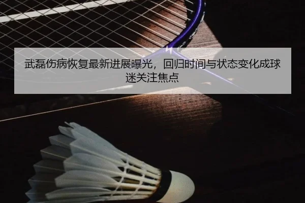 武磊伤病恢复最新进展曝光，回归时间与状态变化成球迷关注焦点